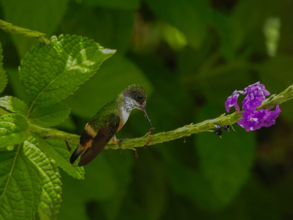 Imagen de WhatsApp 2024-10-02 a las 11.59.43_9f7d335b