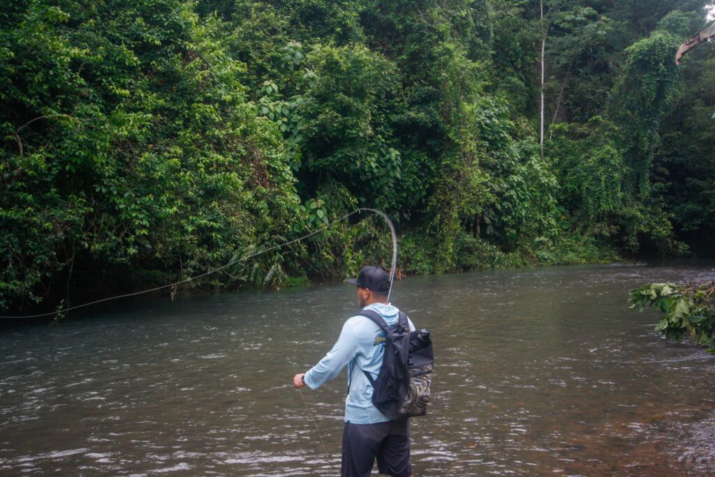 WhatsApp Image 2024-10-25 at 09.54.02_4de118f7